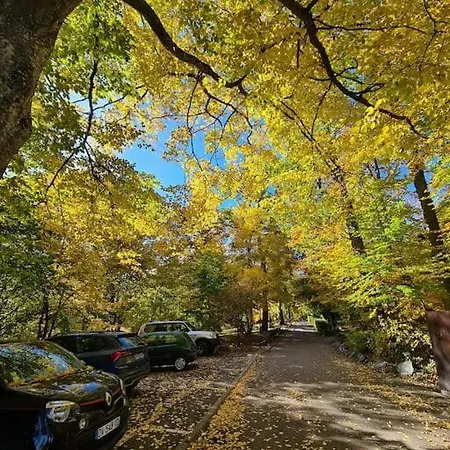 Apartment Au Calme Dans Avec Piscine Boersch