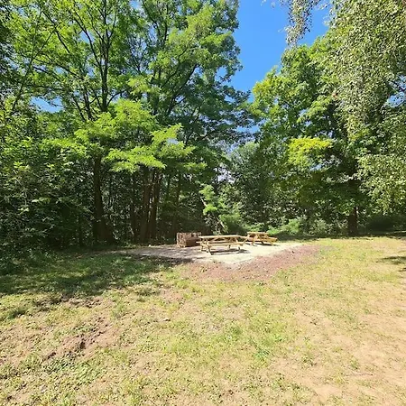 Apartment Au Calme Dans Avec Piscine