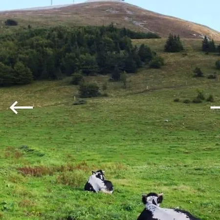 Au Calme Dans Avec Piscine Apartment