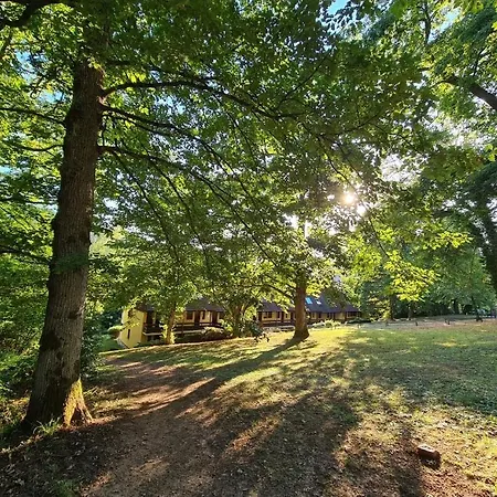 Au Calme Dans Avec Piscine * Boersch
